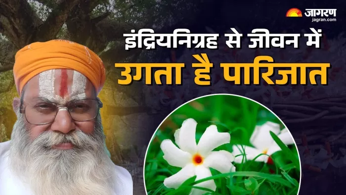 Samudra Manthan: कब और कैसे हुई पारिजात वृक्ष की उत्पत्ति?