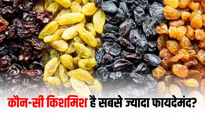 सेहत के लिए कौन-सी किशमिश सबसे ज्यादा फायदेमंद है? जानें यहां (Image Source: Freepik)