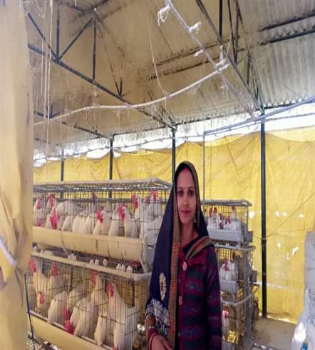 प्रतापगढ़ में समूह की महिलाओं ने मुर्गी पालन करने की ठानी और पोल्ट्री फार्म खोल लिया।