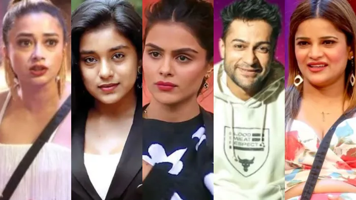 Bigg Boss 16 Tina Datta and Shalin bhanot This Contestant Journey Finished in Mid Week Before Finale. Photo Credit/Instagram