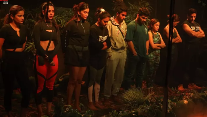 Bigg Boss 16 Ticket to Finale Priyanka Chahar Choudhary Mc Stan Nimrit Kaur Ahluwalia Shalin Lose 10 Lakh/Twitter
