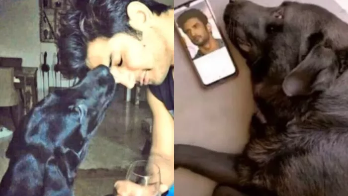 Sushant Singh Rajput Pet Dog Fudge Died Fans Gets Emotional. Photo Credit/File Photo-Twitter