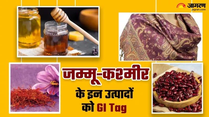 पश्मीना शॉल से लेकर जम्मू के स्पेशल राजमा तक इन चीजों ने हासिल किया जीआई टैग।