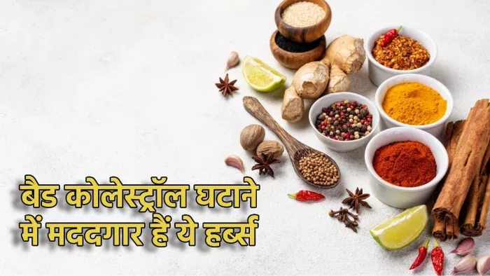 Herbs Reduces Cholesterol: हर्ब्स से घटाएं बैड कोलेस्ट्रॉल
