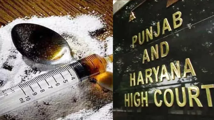 Punjab Haryana HC: 'पंजाब में कितने लोग हैं नशे के आदी', हाई कोर्ट ने सरकारों से पूछा सवाल