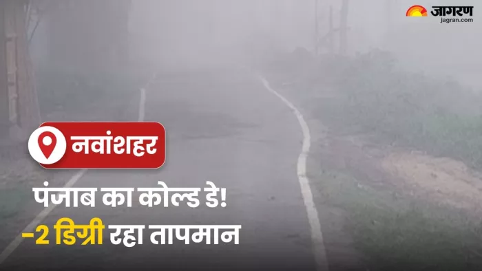Punjab Weather Today: धुंध और हाड़ कंपा देने वाली ठंड की चपेट में पंजाब,