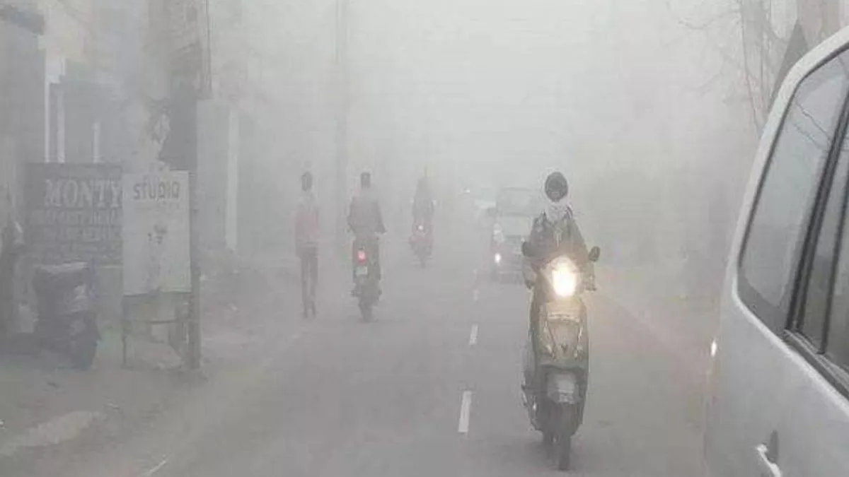 अगले दो दिन धुंध की सफेद चादर में लिपटेगा पंजाब, तापमान में हुई 4 डिग्री तक गिरावट; फाजिल्का रहा सबसे ठंडा