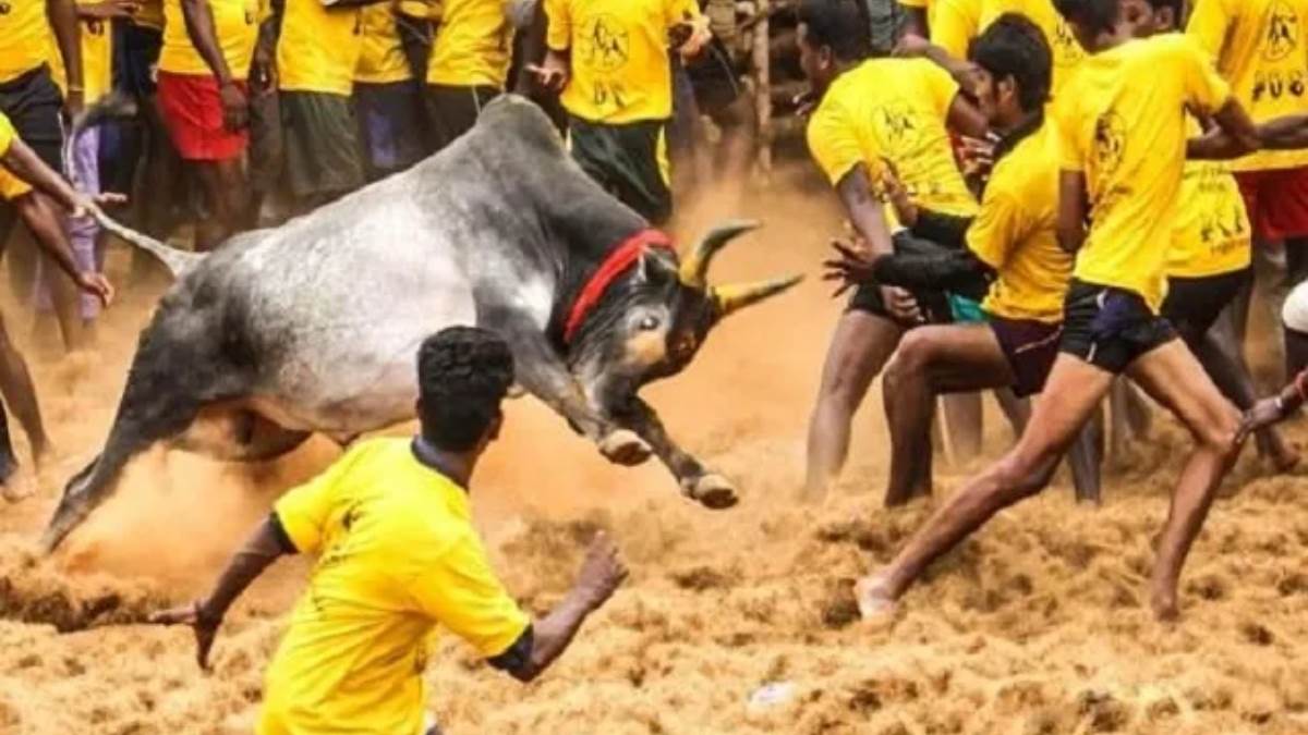https://www.jagranimages.com/images/newimg/17012025/17_01_2025-tamil_nadu_23868267.jpg