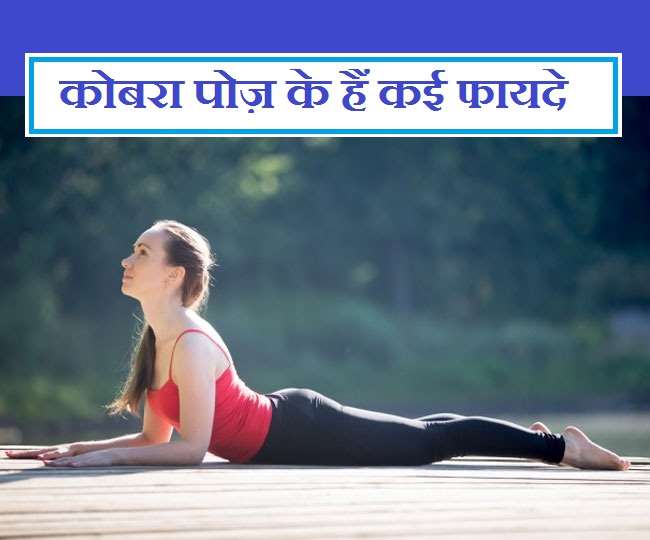 भुजंगासन कैसे और क्यों करे? : Cobra Pose Benefits And Steps In Hindi