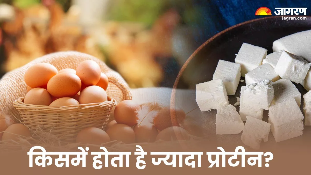 Egg vs Paneer: अंडा या पनीर, किसे खाने से मिलता है ज्यादा प्रोटीन?