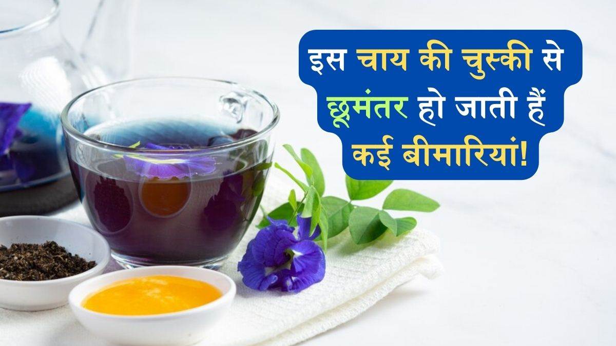 https://www.jagranimages.com/images/newimg/17022024/17_02_2024-17_feb_8_23655412.jpg
