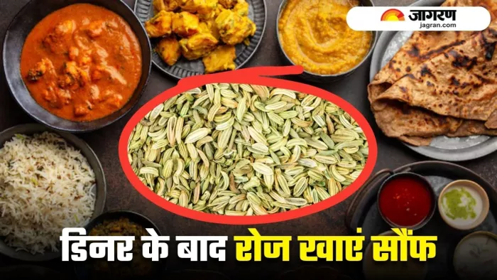 खाने के बाद रोजाना चबाएं एक चम्मच सौंफ, फायदे जानकर रह जाएंगे हैरान (Image Source: Freepik)