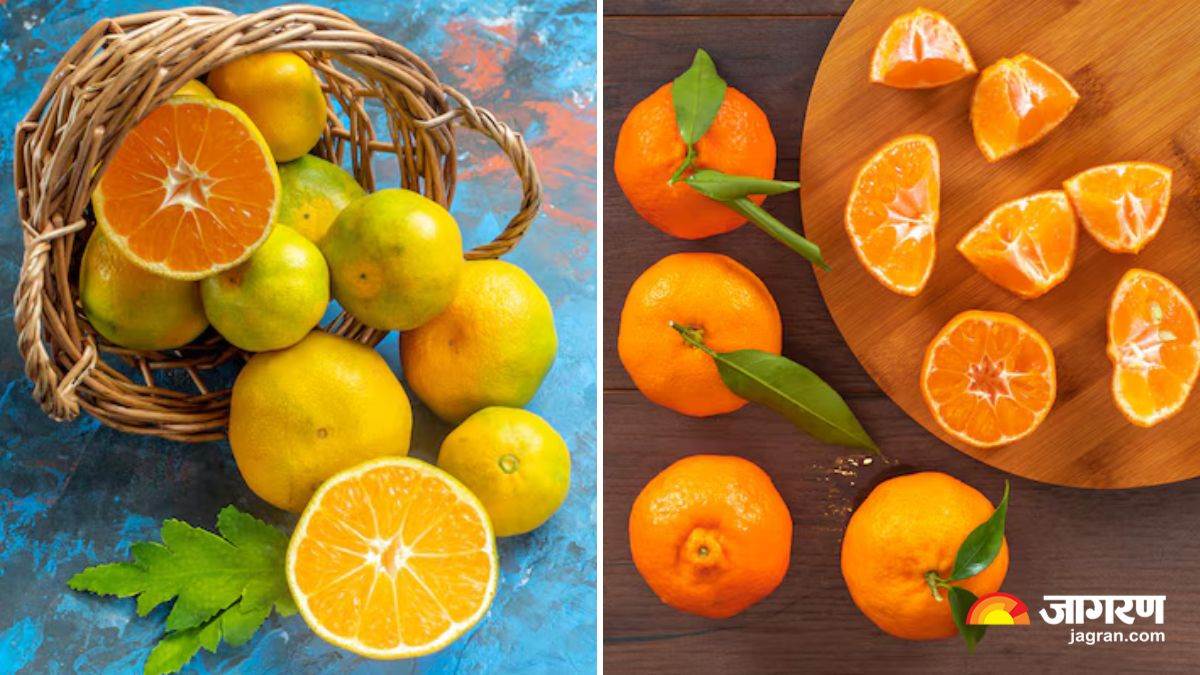 https://www.jagranimages.com/images/newimg/17022025/17_02_2025-difference_between_oranges_and_kinnows_23885884.jpg