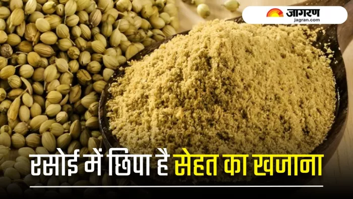 Dry Coriander Benefits: डेली डाइट में सूखा धनिया शामिल करने के फायदे (Image Source: Freepik)