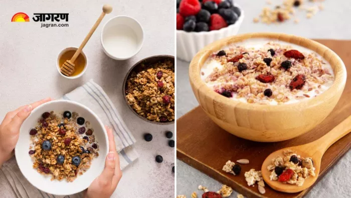 Benefits Of Eating Muesli: ब्रेकफास्ट में मूसली को शामिल करने से सेहत को मिलते हैं गजब के फायदे (Image: Freepik)