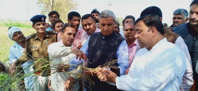 बरवाला में ओलावृष्टि के नुकसान का जायजा लेने आधा किमी पैदल चले कृषि मंत्री