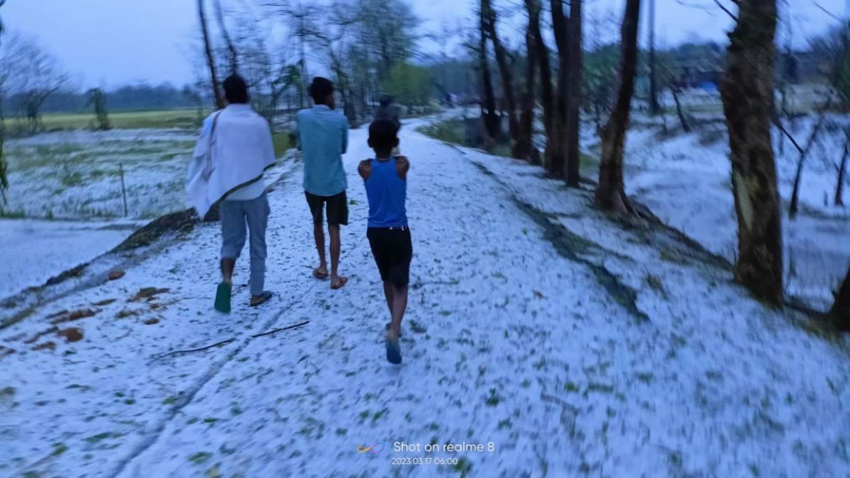 https://www.jagranimages.com/images/newimg/17032023/17_03_2023-hailstorm_in_sheohar_bihar_23358946.jpg