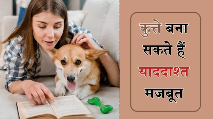 कुत्तों से बात करने से बढ़ सकती है याददाश्त