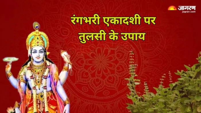 Rangbhari Ekadashi 2024: रंगभरी एकादशी के दिन करें तुलसी से जुड़े ये उपाय, दांपत्य जीवन में मिलेगा लाभ