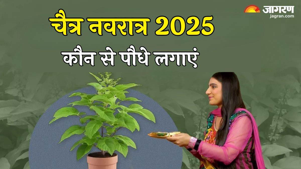 https://www.jagranimages.com/images/newimg/17032025/17_03_2025-chaitra_navratri__6_23901077.jpg