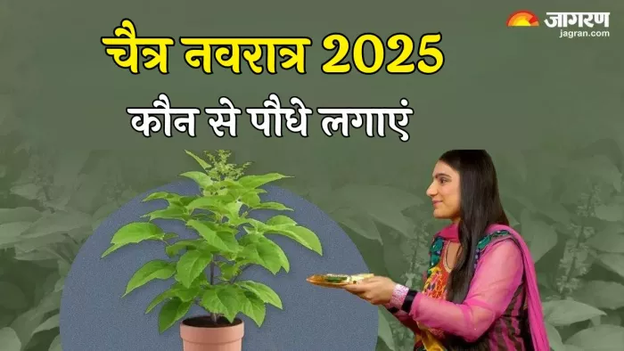 Chaitra Navratri 2025: इन पौधों को लगाने से चमकेगी किस्मत