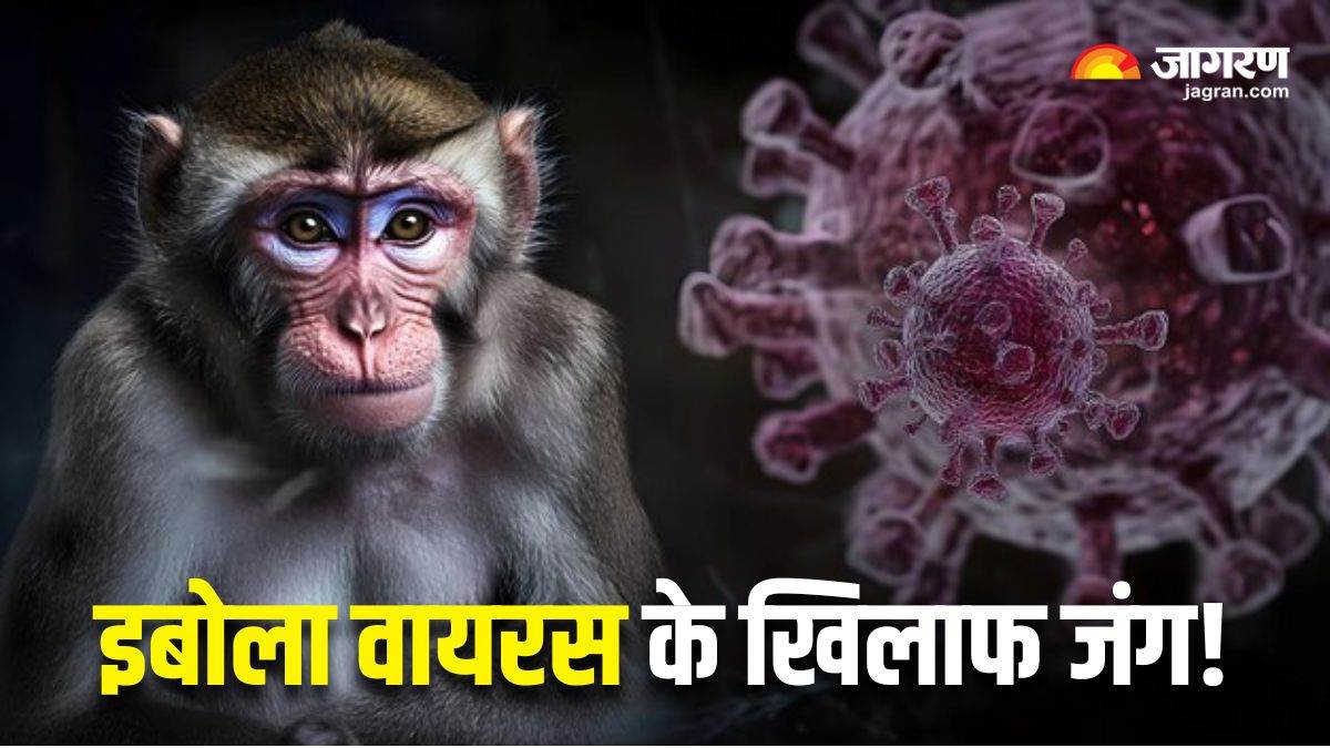 https://www.jagranimages.com/images/newimg/17032025/17_03_2025-ebola_virus_23901210.jpg