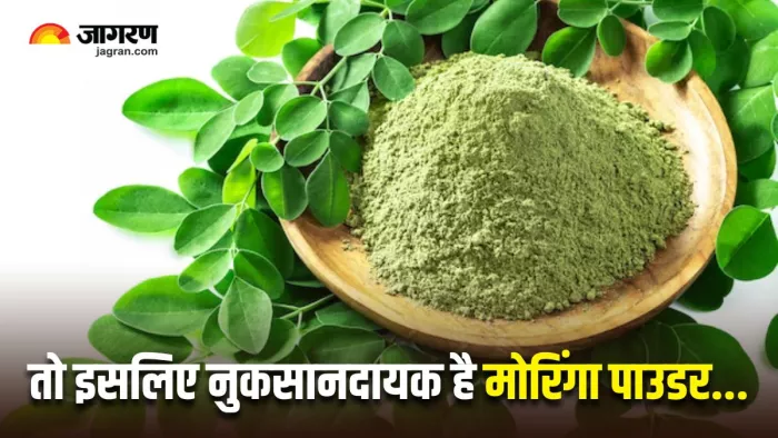 Moringa Powder Side Effects: किन लोगों को नहीं खाना चाहिए मोरिंगा पाउडर? (Image Source: Freepik)