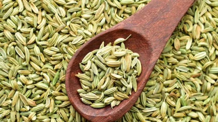 सौंफ को भूनकर खाने के भी कई फायदे हैं। ( Pic Courtesy : Freepik)