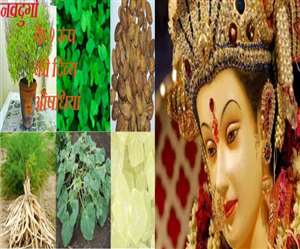 नौ दिन के विशेष दिनों में औषिधियों का भेद।