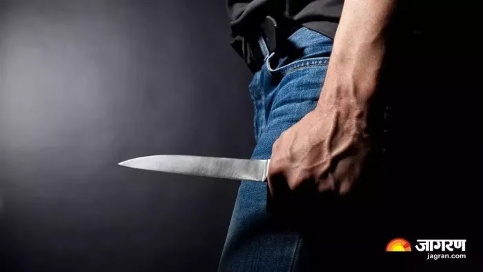प्रस्तुति के लिए इस्तेमाल की गई तस्वीर