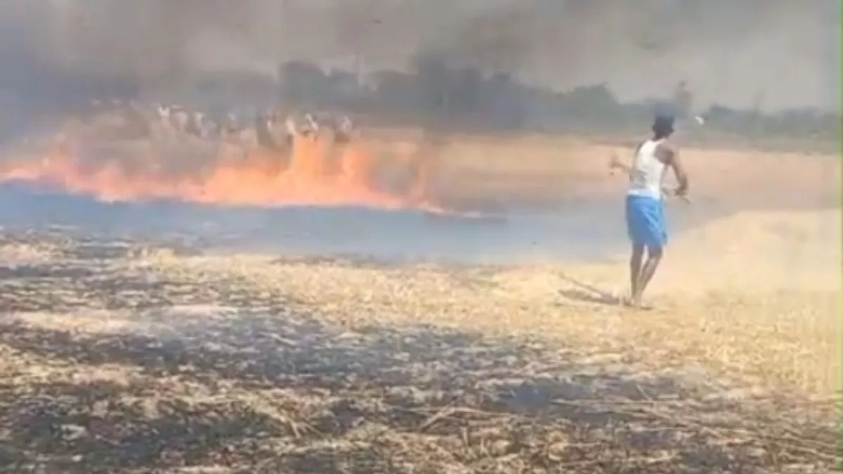 Ambedkar Nagar News: शार्ट सर्किट से खेतों में लगी आग, फसल राख; डेढ़ घंटे विलंब से पहुंची फायर ब‍िग्रेड की गाड़ी