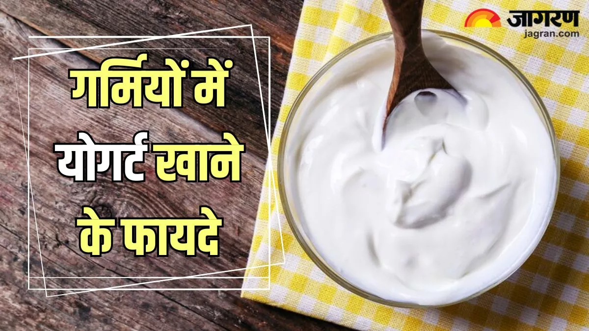 Yogurt Benefits: पाचन बेहतर करने से लेकर एलर्जी से बचाने तक, गर्मियों में इन समस्याओं से राहत दिलाता है दही