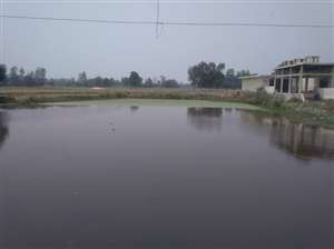 पालिका ने तालाब को संवारा, पक्के घाट भी बनेंगे