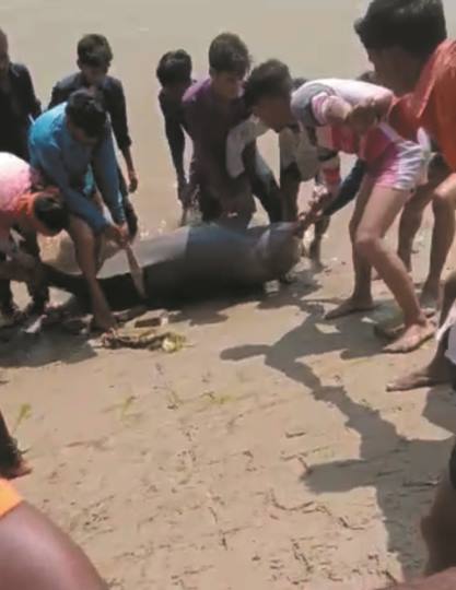 News Article Hero Image