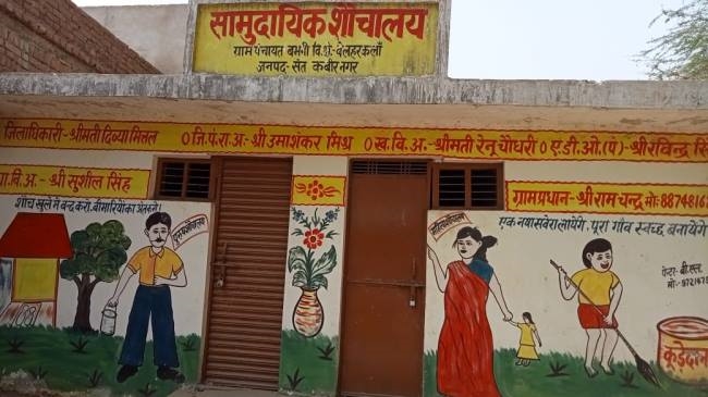 Erkak jinsiy olatni suzish tanasi ichida va holda