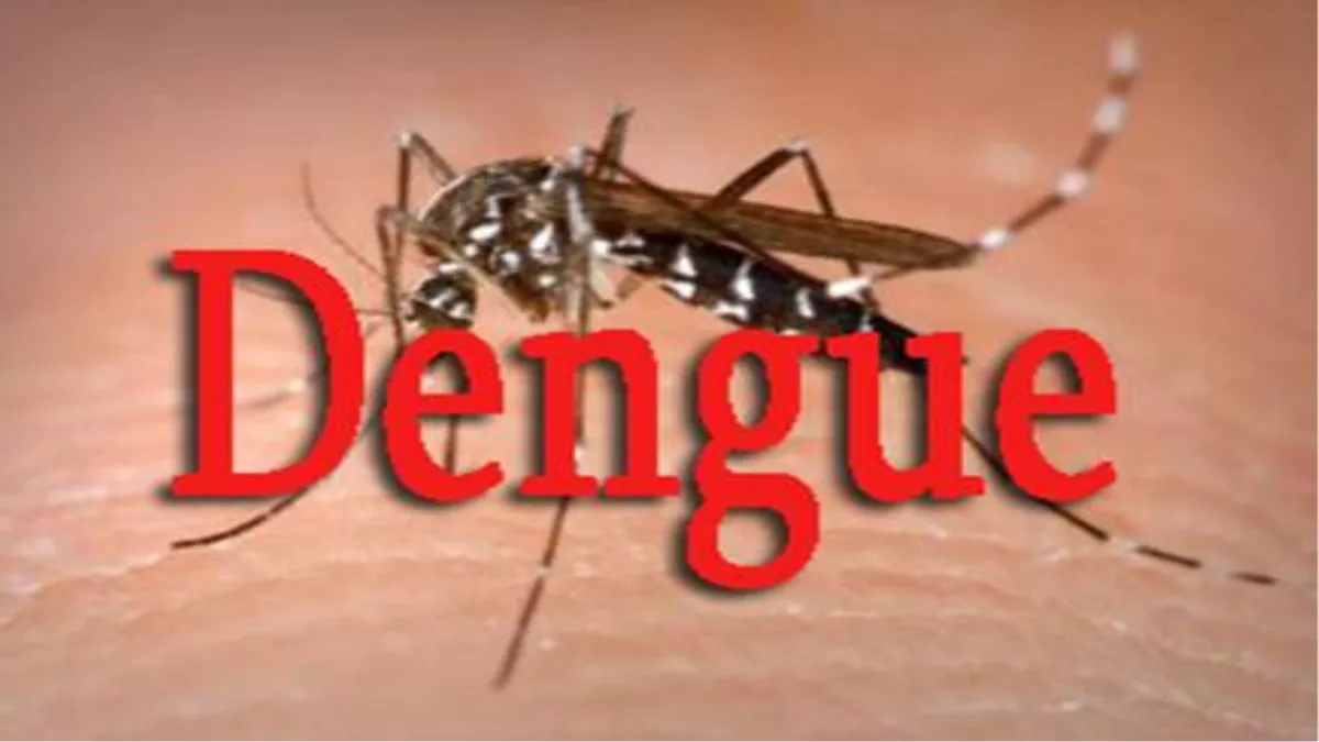 डेंगू के खतरे से बचाएगा मच्छरदानी, जलजमाव का करें निदान, मुजफ्फरपुर में जागरूकता अभियान