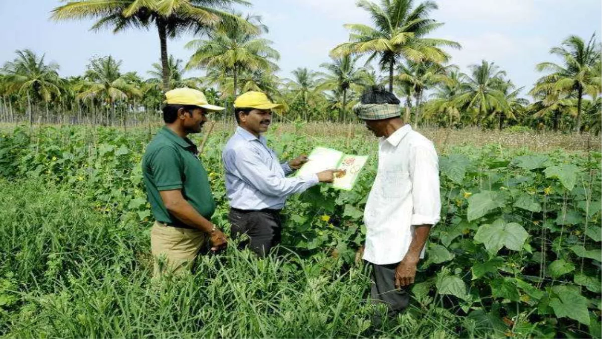 Bihar Farmer News: बैंगन, परवल, भिंडी और लौकी की उन्‍नत किस्‍मों से किसान बढ़ा सकते हैं आमदनी