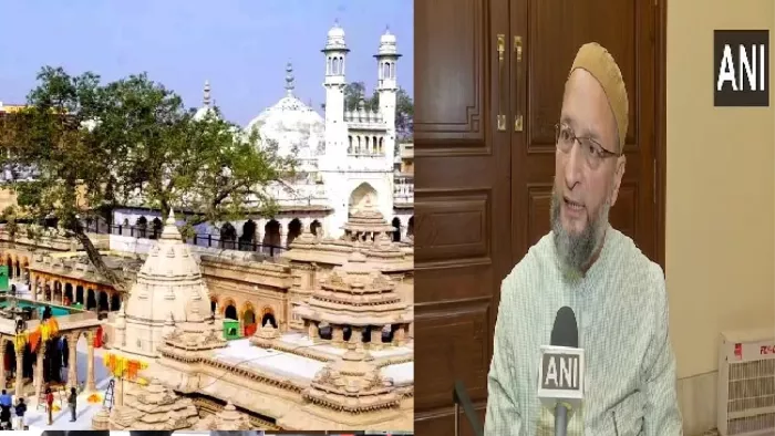 एआइएमआइएम (AIMIM) प्रमुख असदुद्दीन ओवैसी की फाइल फोटो (सोर्स: एएनआइ)