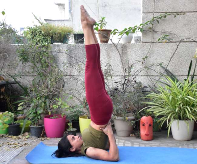 yoga for grey hair with the help of these 2 yoga postures the problem of white hair can be removed