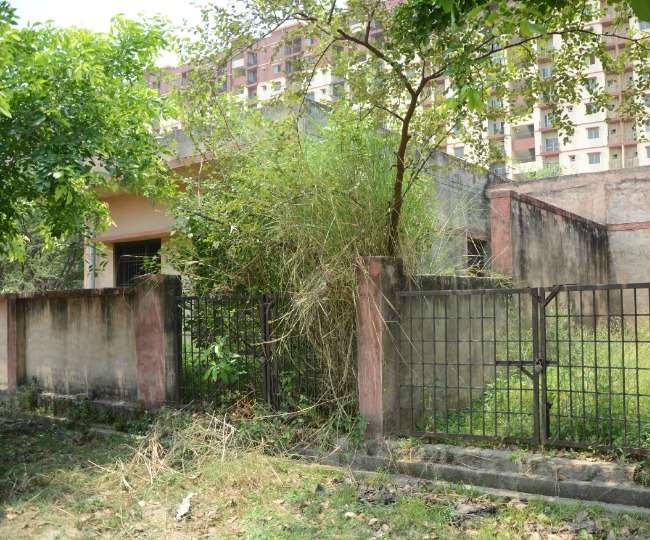 लखनऊ की एक ऐसी कालोनी जहां इंसान नहीं सांपों का बसेरा, आवास विकास परिषद