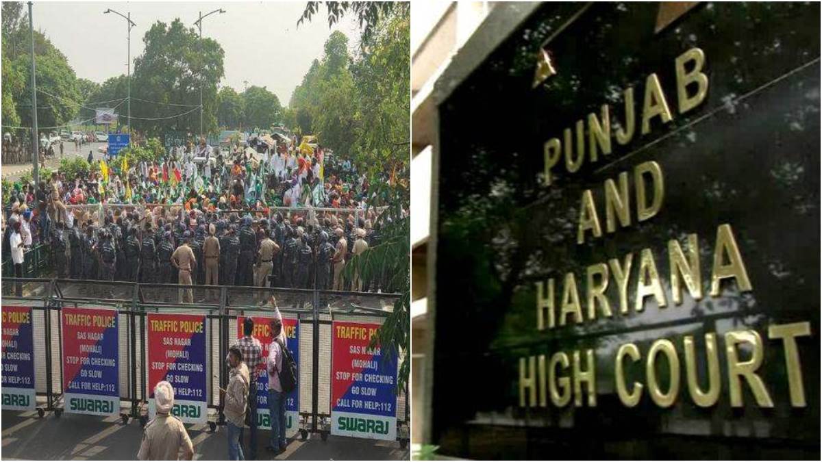 high court reprimanded the punjab government for the sikh protest in mohali summoned the dgp