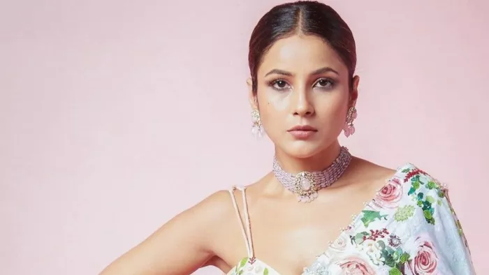 Shehnaaz Gill Reacts On Her Trolling Over Acting In Kisi Ka Bhai Kisi Ki Jaan, Instagram