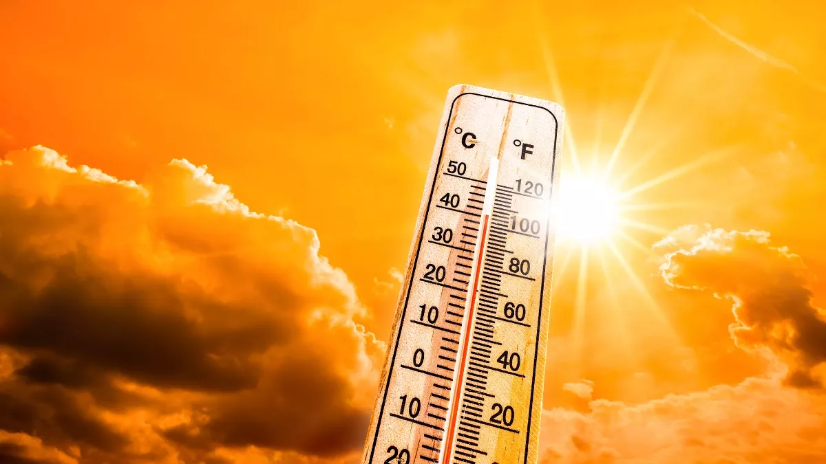 Heat Wave in Himachal: भीषण गर्मी से बढ़ने लगे अस्पतालों में मरीज, अगर आप में भी दिख रहे हैं ये लक्षण; तो हो जाएं सतर्क