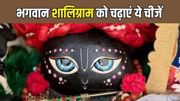 Mohini Ekadashi 2024: शालिग्राम की पूजा का महत्व -
