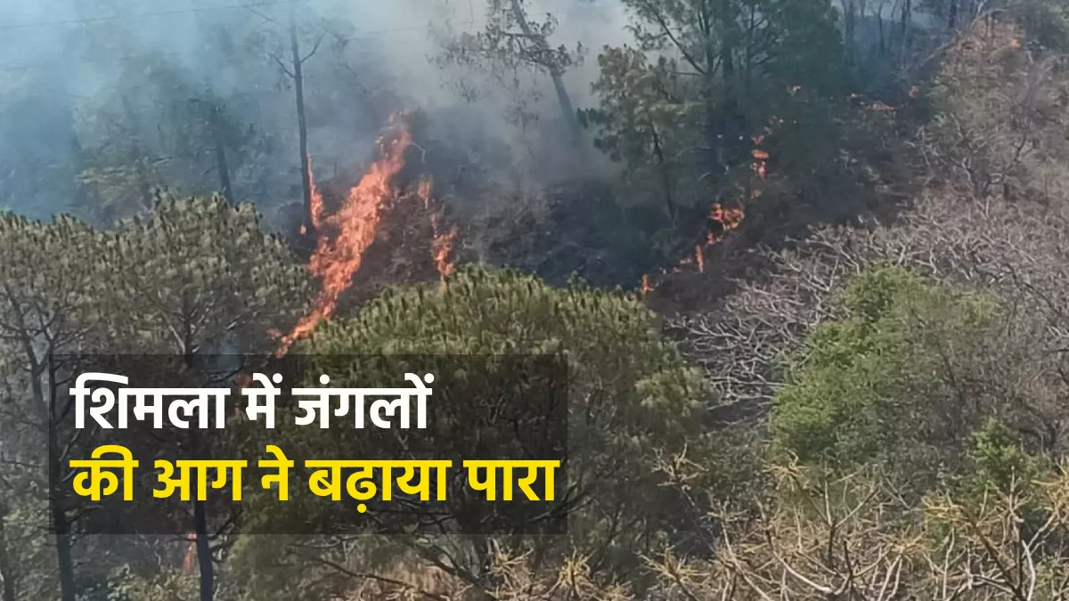 Himachal Weather Update: शिमला में सीजन का सबसे गर्म दिन रहा गुरुवार, जंगलों में दहकती आग ने भी किया पारा हाई