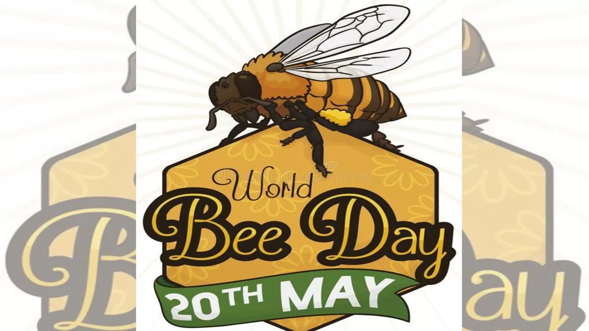 World Bee Day 2024: 20 मई को मनाए मधुमक्खी दिवस और खाए अलग-अलग वैरायटी वाले स्वादिष्ठ शहद, कीमत पड़ेगी 200