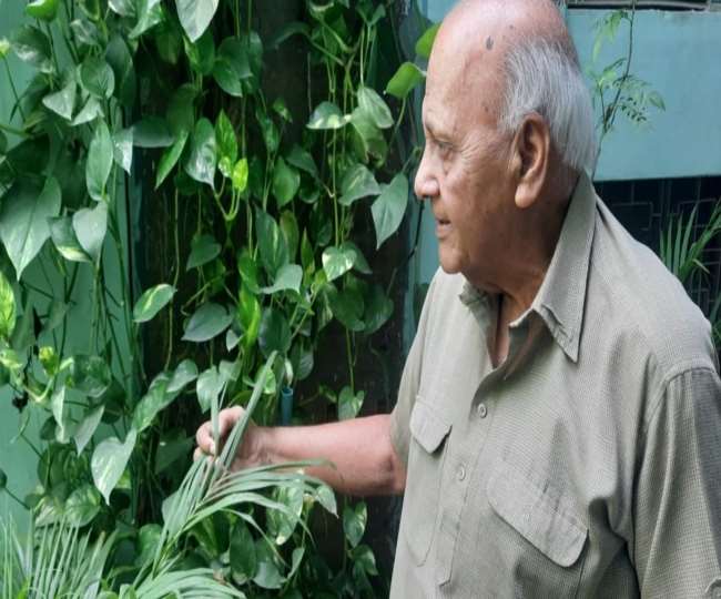 सेवानिवृत्त वायु सेना अधिकारी रुपेंद्र कश्यप हरियाली बचाने के लिए लड़ रहे हैं।