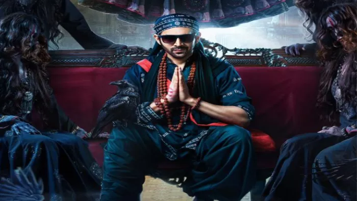 Bhool Bhulaiyaa 2 Box Office Collection Day 28. Photo- Instagram