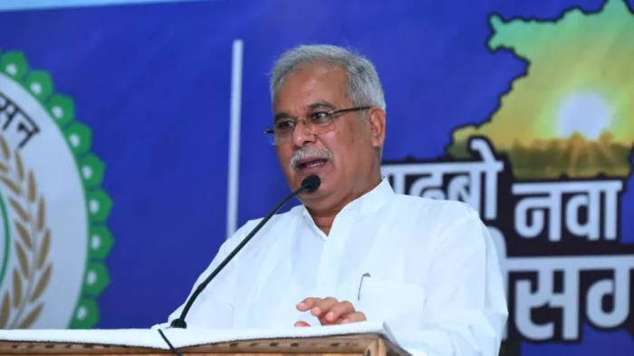 छत्तीसगढ़ बन रहा देश का मिलेट हब (जागरण फोटो)