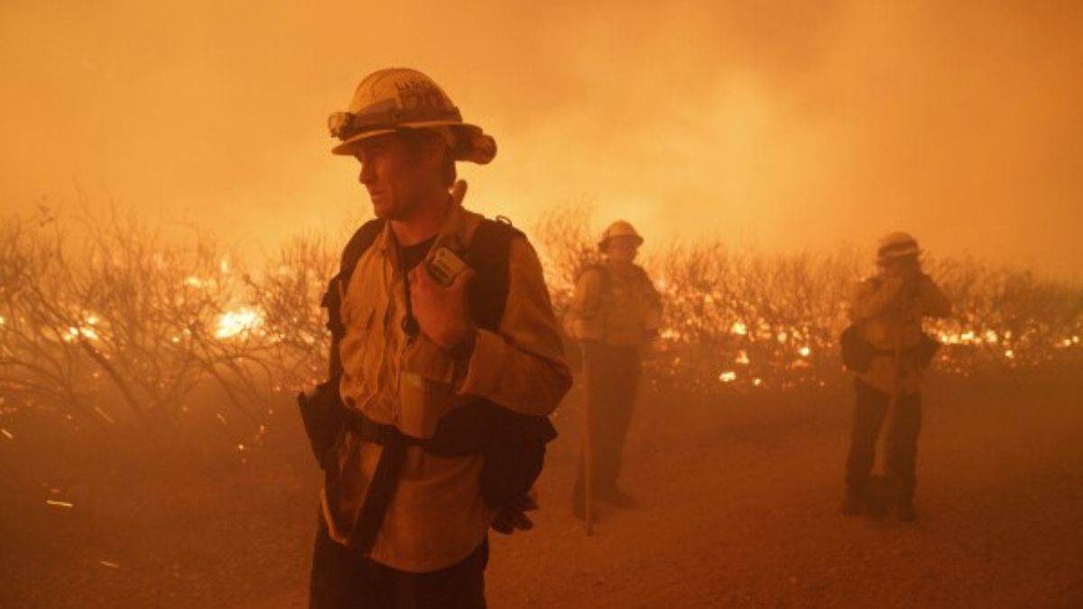 terrible fire in los angeles forests thousands acres of natural wealth burnt to ashes